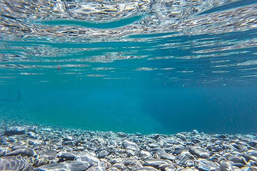 Underwater shot with clear blue water and rocks