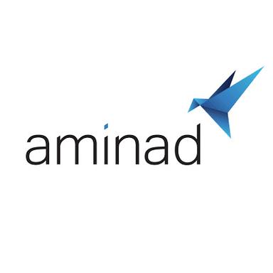 Aminad Consulting
