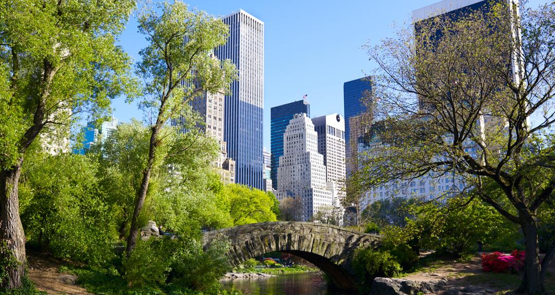 nyc skyline from central park