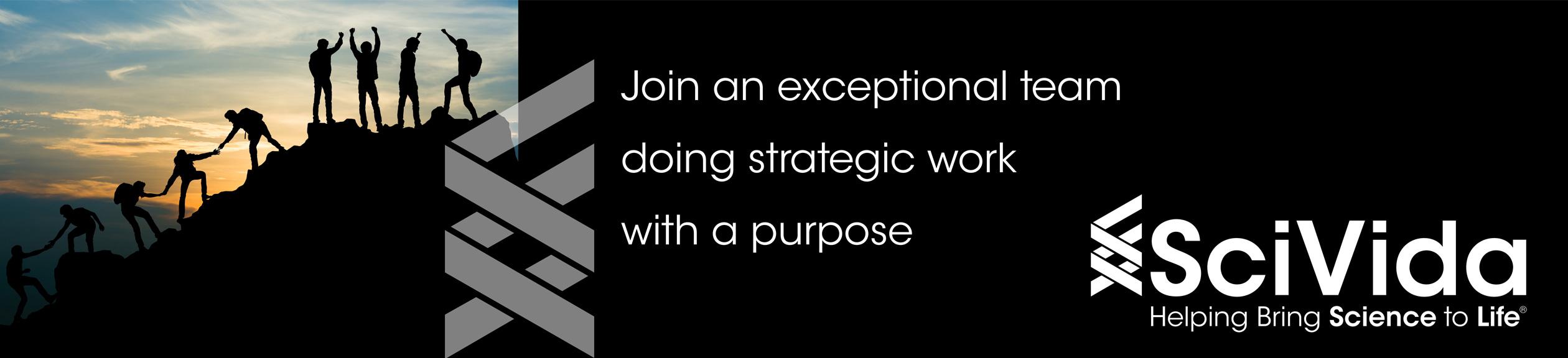join an exceptional team doing strategic work with a purpose