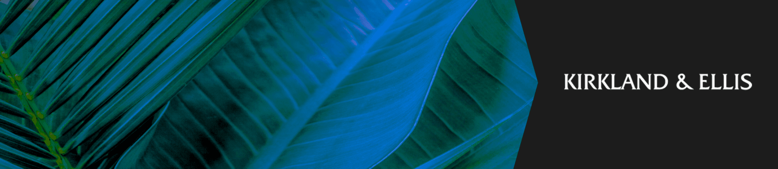 kirkland ellis logo